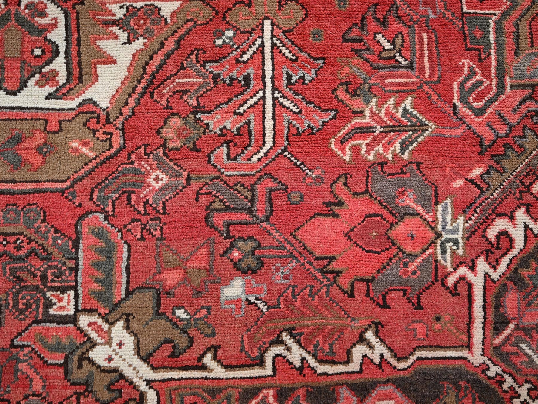 Text